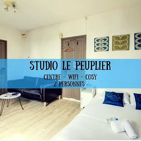Studio Le Peuplier Dijon